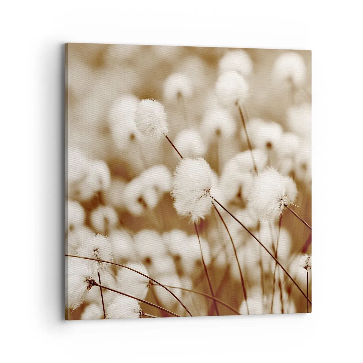 Schilderen op canvas - Pluizig korenveld - 70x70 cm