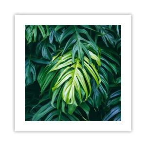 Poster - Dompel jezelf onder in de frisheid - 40x40 cm