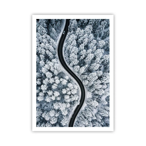 Poster - Door het winterbos - 70x100 cm