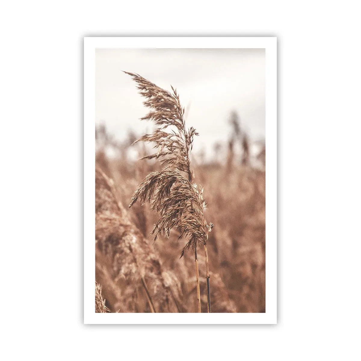 Poster - Het is al herfst in de velden - 61x91 cm