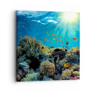 Schilderen op canvas - Onderwater schatten - 40x40 cm