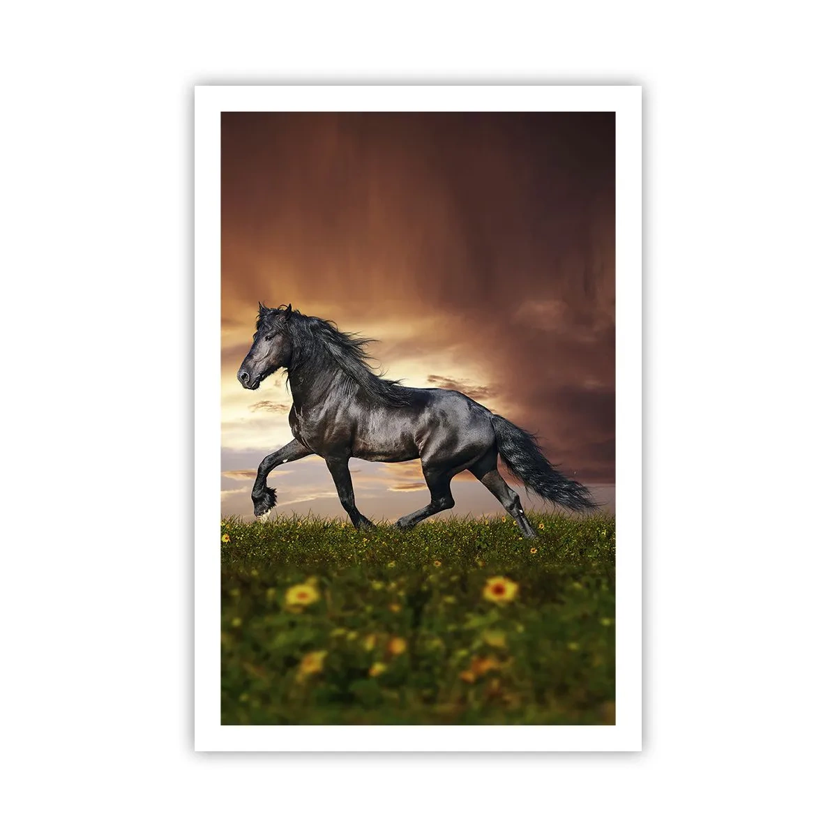 Poster - Zwarte Prins - 61x91 cm