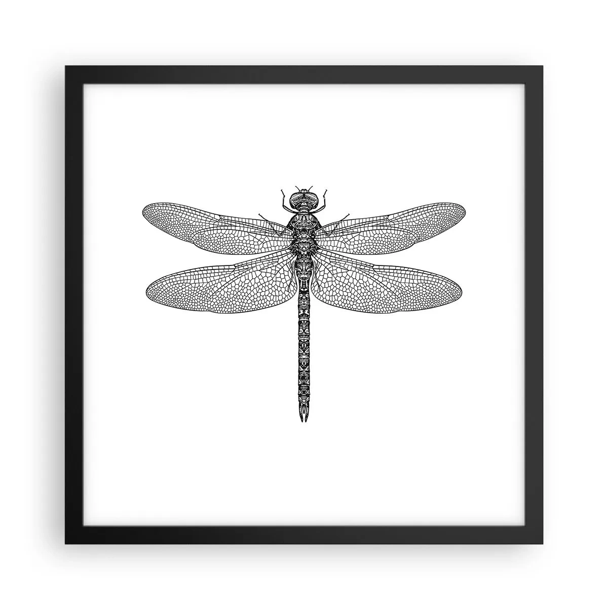 Poster in een zwarte lijst - Precisie van de natuur - 40x40 cm