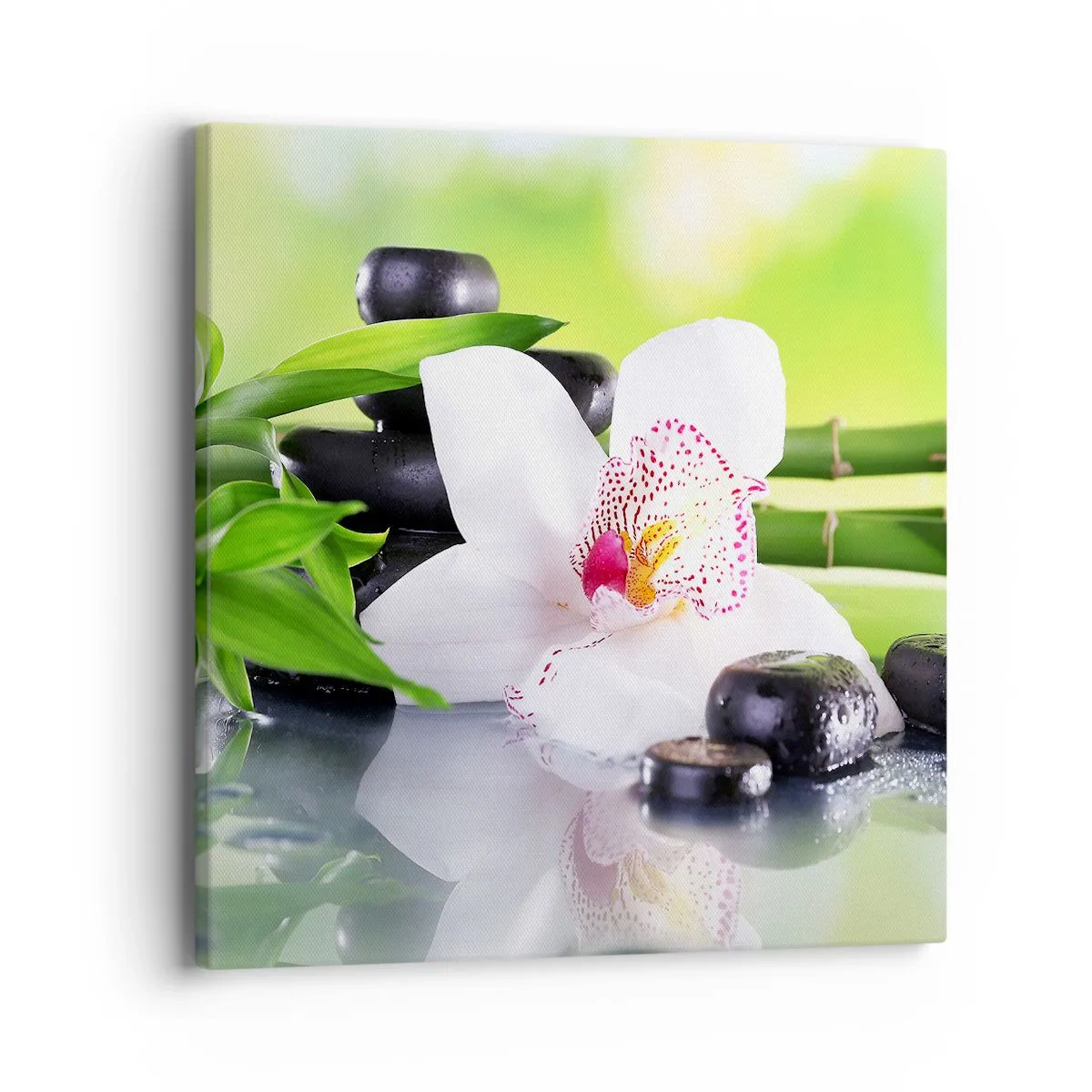 Schilderen op canvas - Koele frisheid - 40x40 cm