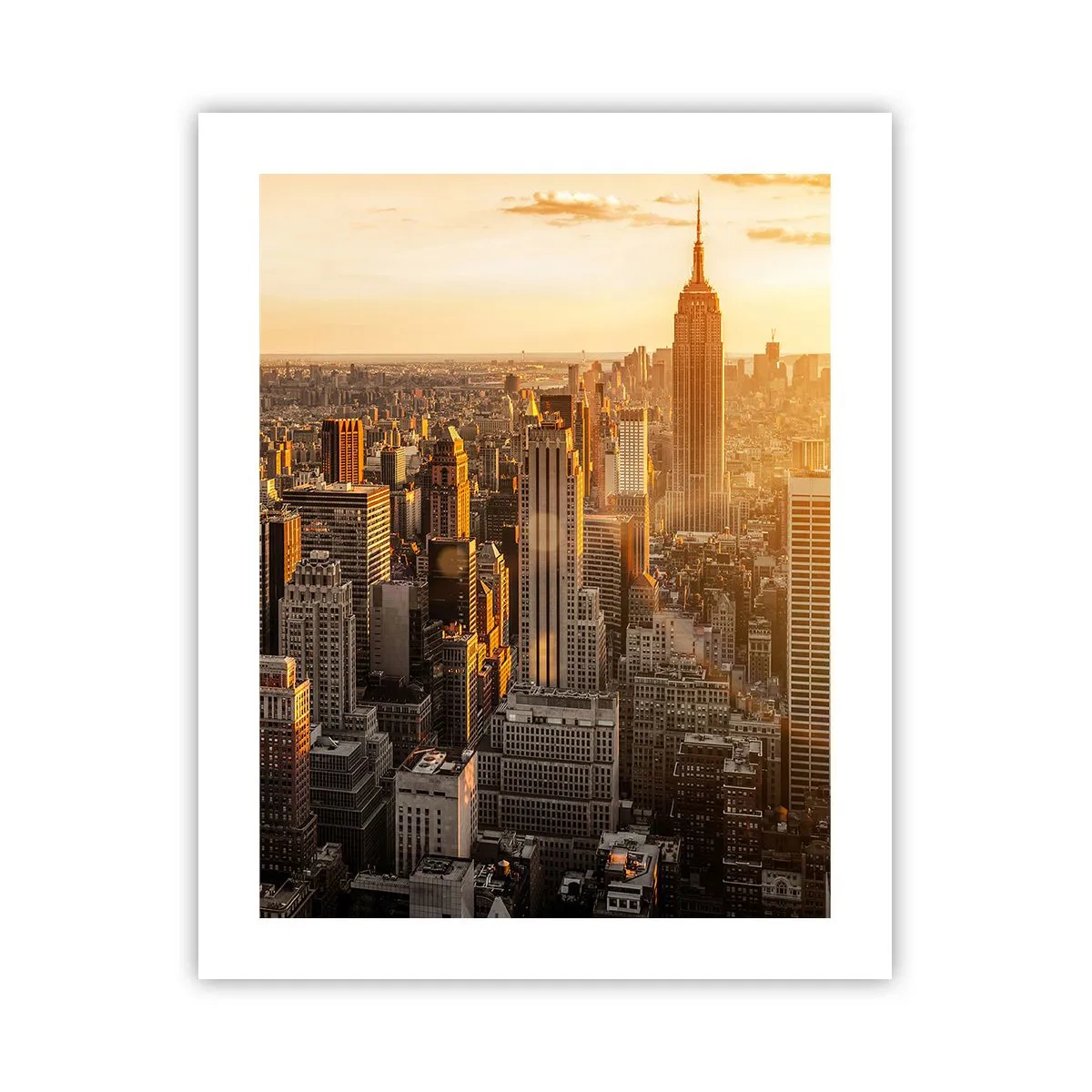 Poster - Groeien in de zon - 40x50 cm