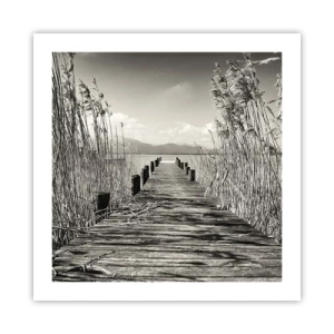 Poster - In de stilte van het gras - 50x50 cm