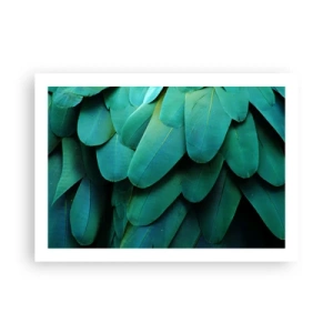 Poster - Papegaaiachtige precisie - 70x50 cm