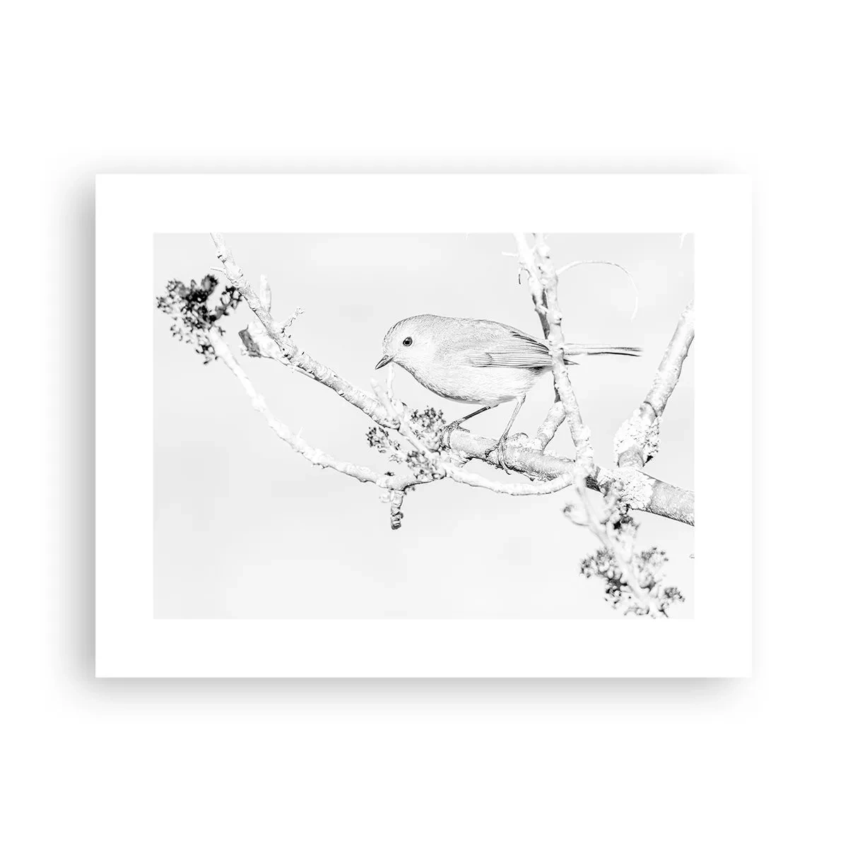 Poster - Winterochtend - 40x30 cm