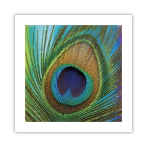 Poster - Oog in oog - 40x40 cm