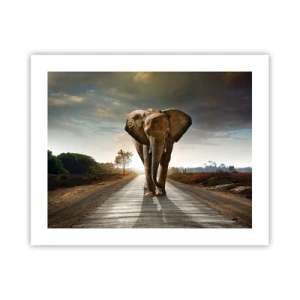 Poster - En helemaal niet in een porseleinen pakhuis - 50x40 cm