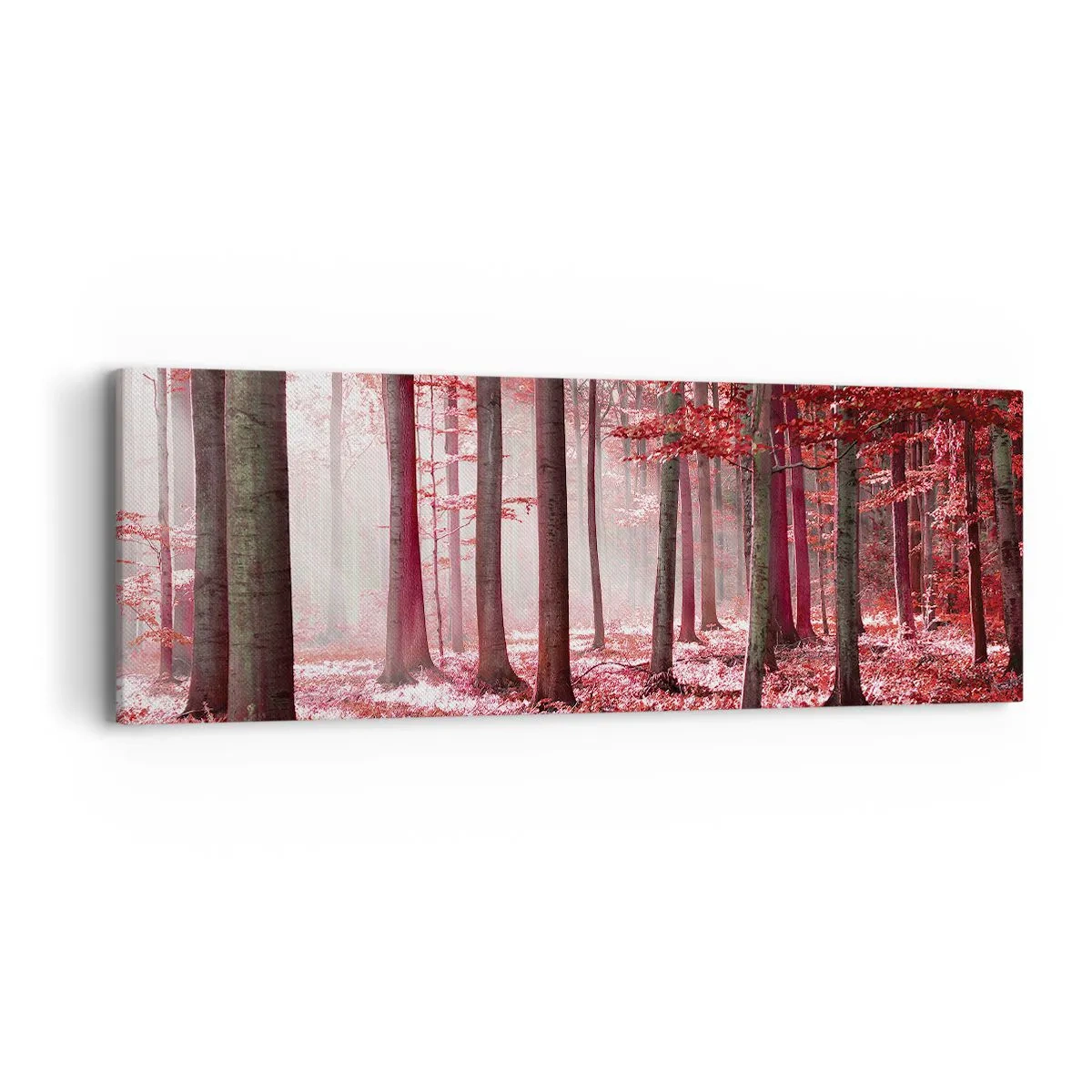 Schilderen op canvas - Rood is net zo mooi - 90x30 cm