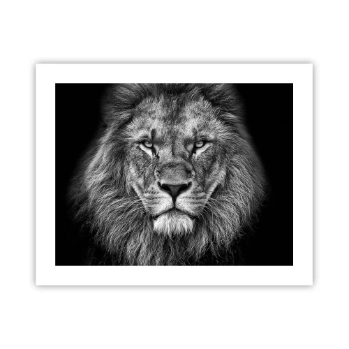 Poster - In een kroningskleed - 50x40 cm