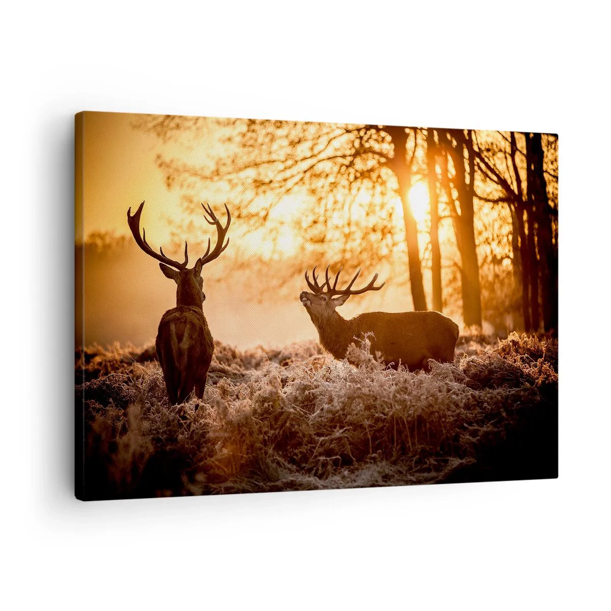 Schilderen op canvas - Twee herten bij zonsondergang in een winterlandschap - 70x50cm - De droom van een jager - Moderne wanddecoratie voor woonkamer en slaapkamer ARTTOR