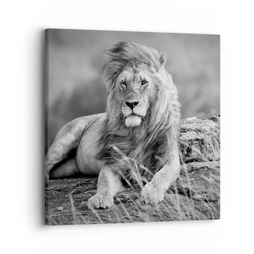 Schilderen op canvas - Koninklijke siësta - 30x30 cm