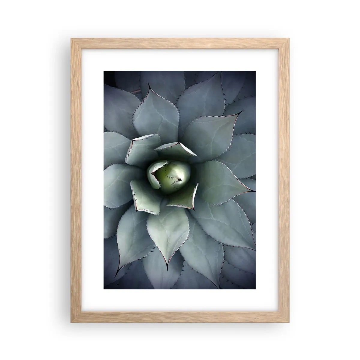 Een poster in een licht eiken lijst - Het trekt aan en waarschuwt - 30x40 cm
