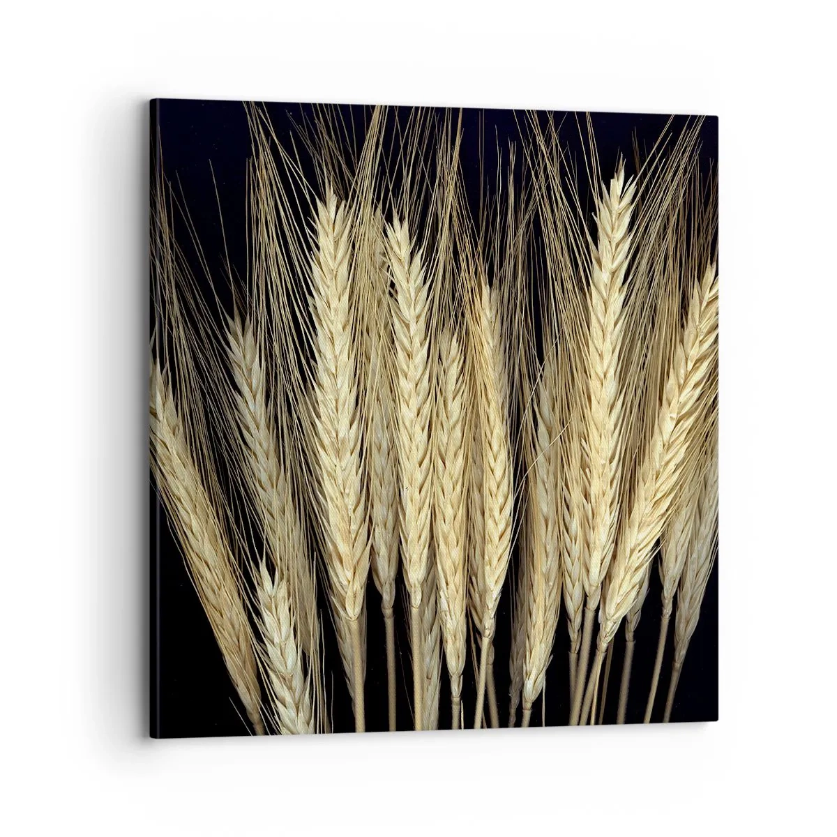 Schilderen op canvas - Rustieke magie - 70x70 cm