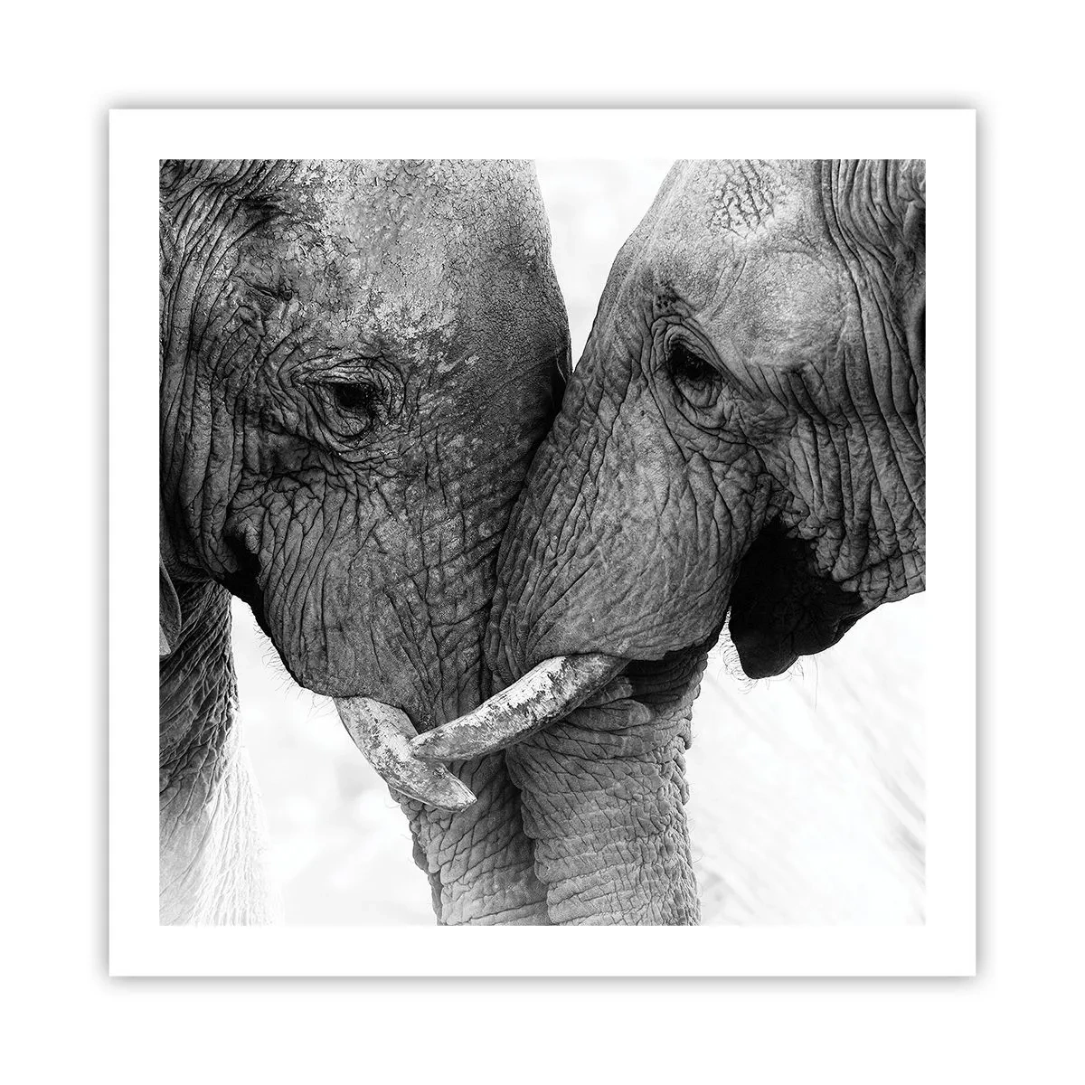 Poster - Oprechte bekentenis - 60x60 cm