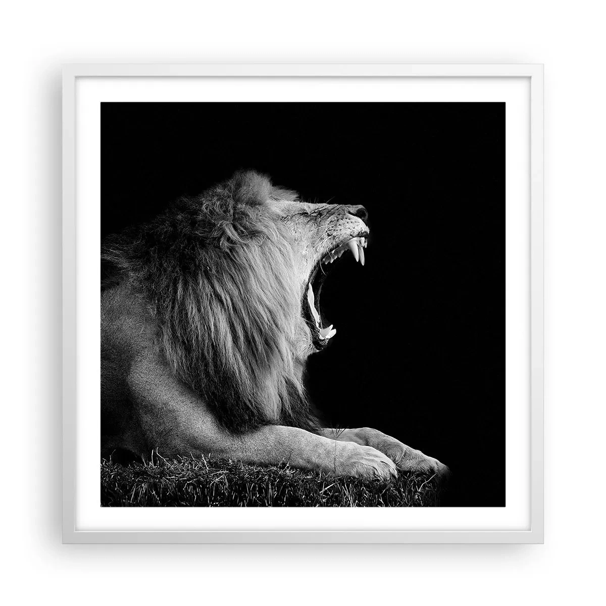 Poster in een witte lijst - Zonder enige twijfel - 60x60 cm