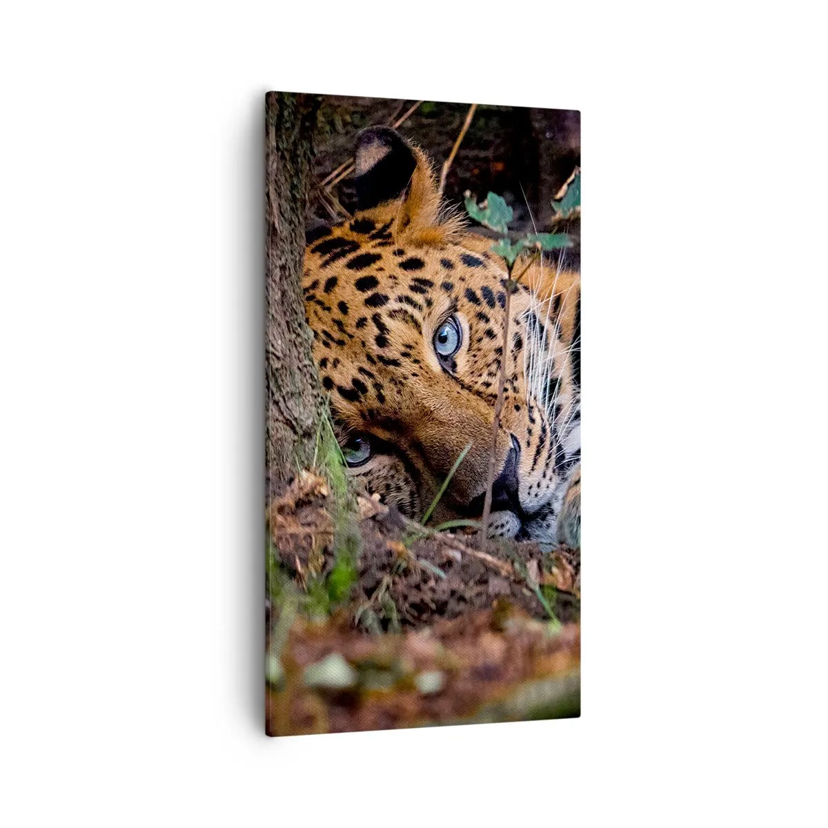 Schilderen op canvas - Geloof me - 55x100 cm