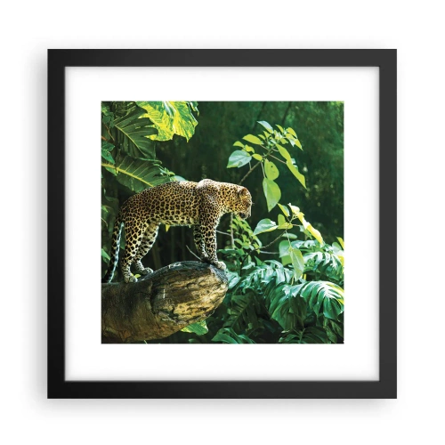 Poster in een zwarte lijst - Op jacht? - 30x30 cm