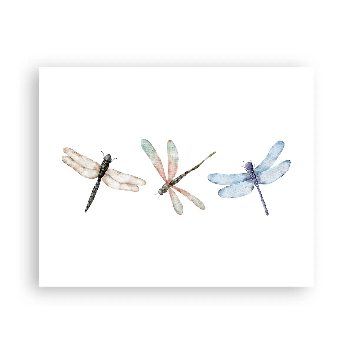 Poster - Gewichtloze libellen - 50x40 cm