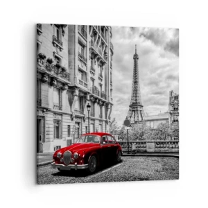 Schilderen op canvas - Roofdier in de stad - 50x50 cm