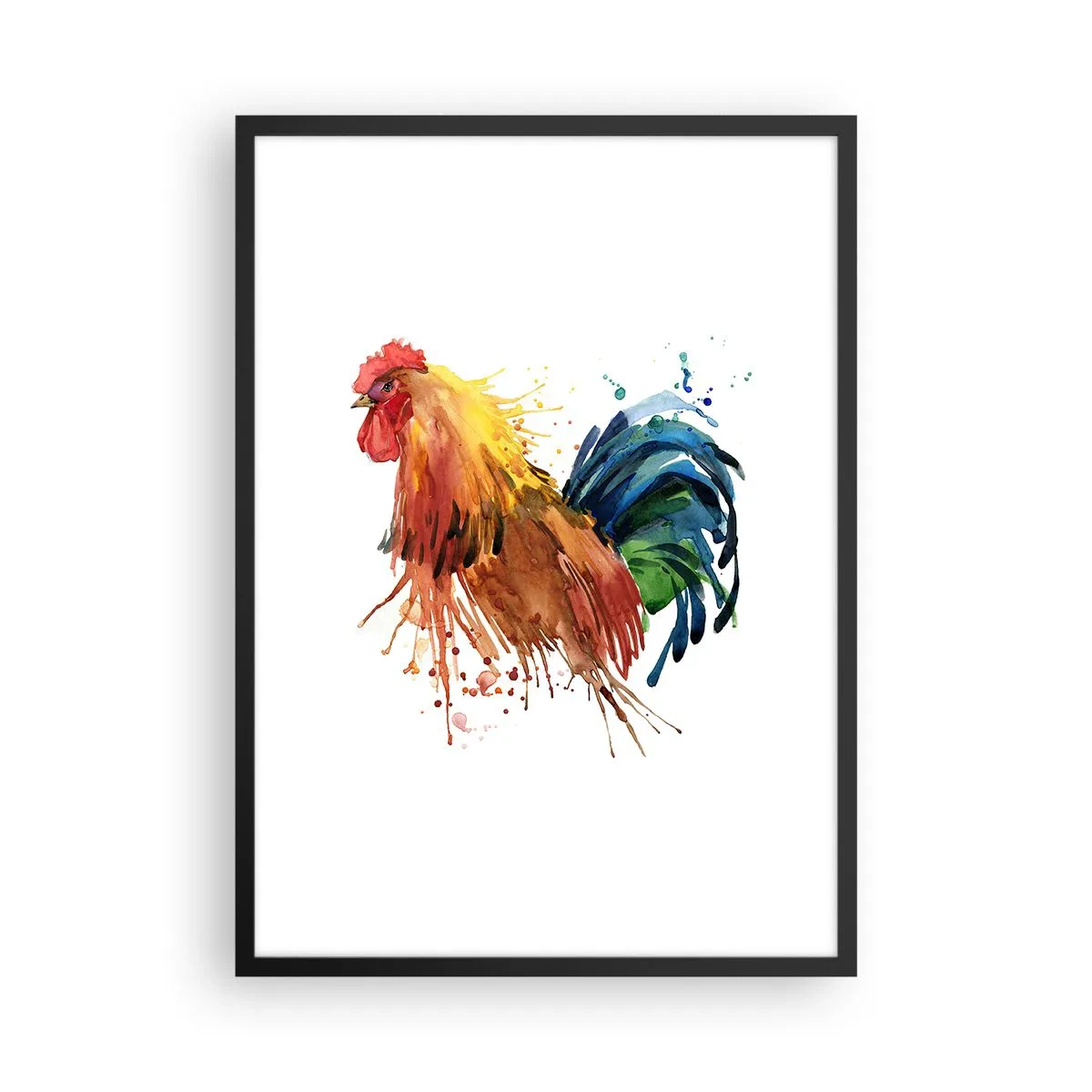 Poster in een zwarte lijst - Kleurrijke haan in aquarelstijl - 50x70cm - Koninklijk gewaad, koninklijke trots - Moderne wanddecoratie voor woonkamer en slaapkamer ARTTOR