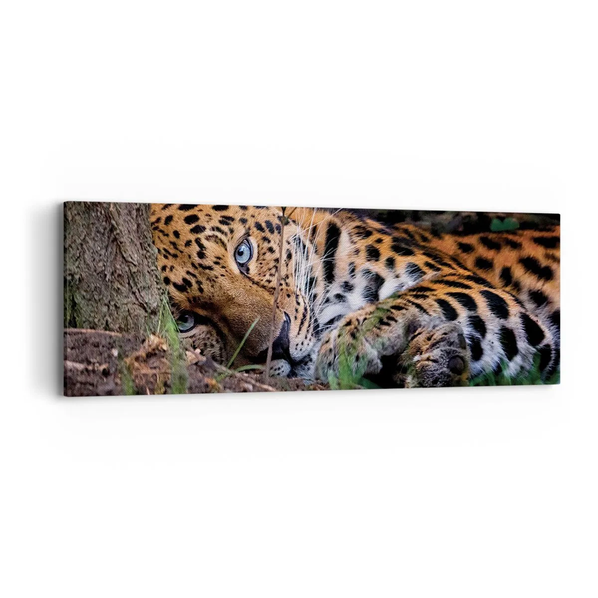 Schilderen op canvas - Geloof me - 90x30 cm