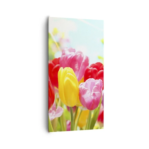 Schilderen op canvas - Dat zijn wij, de kleuren van mei! - 65x120 cm