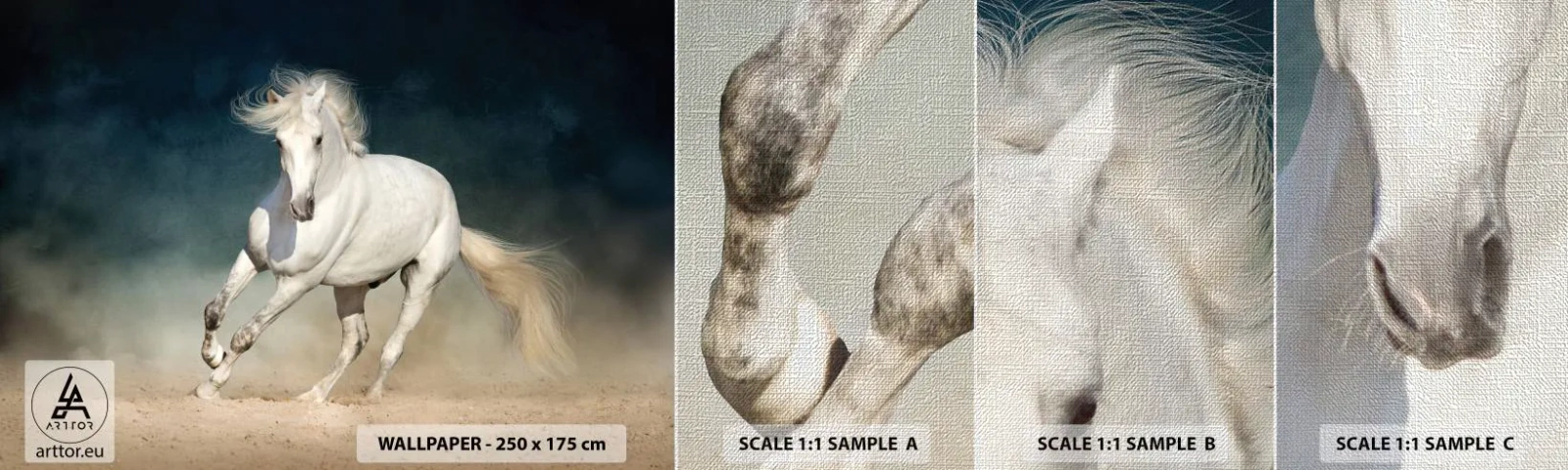 Fotobehang Monster Premium Canvas - Vrijheid in zijn pure staat - Paard, Dier, Wit - 100x30 cm