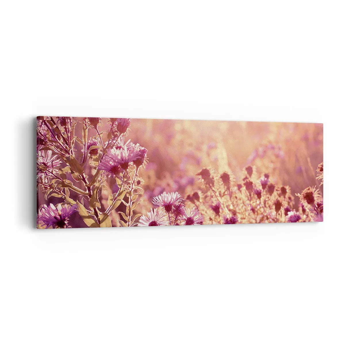 Schilderen op canvas - Voordat de zomer voorbij is - 90x30 cm