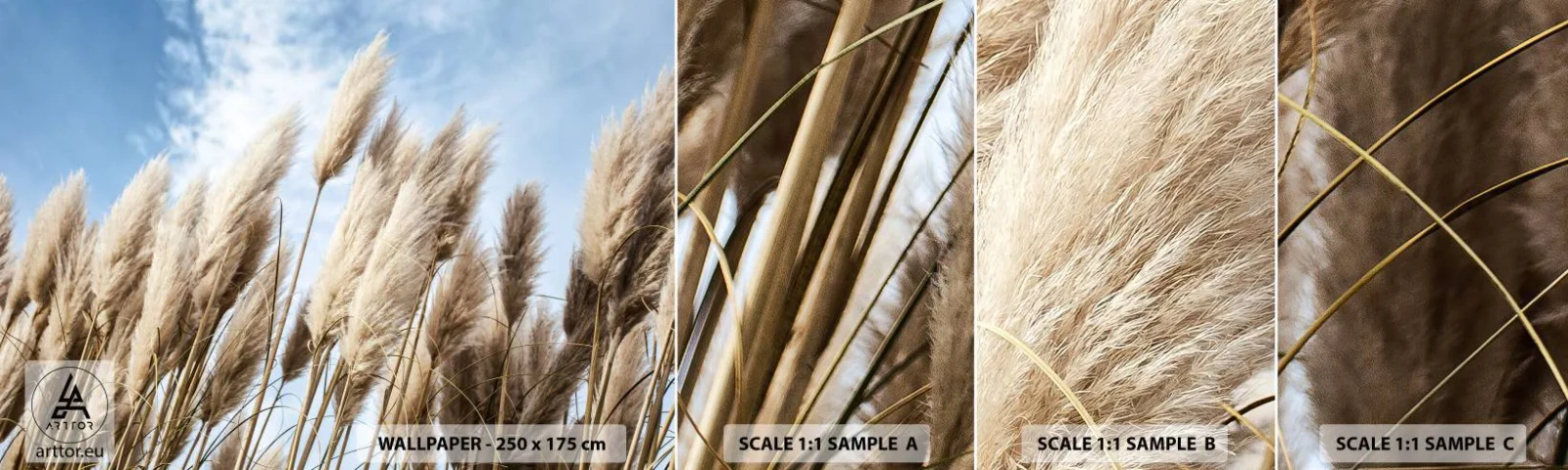 Fotobehang Staaltje Standard Eco - Zonnige en winderige streling - Pampagras, Natuur, Boho - 100x30 cm