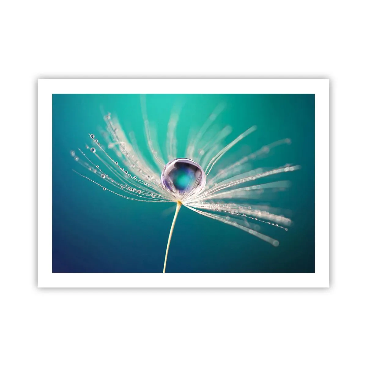 Poster - Mystiek moment - 70x50 cm
