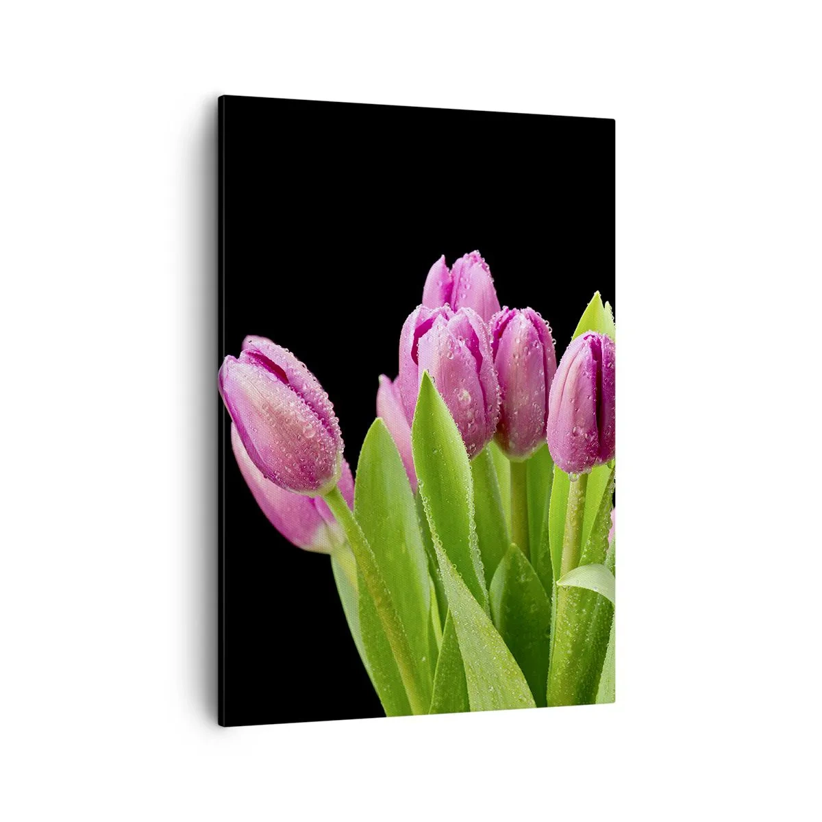 Schilderen op canvas - Lila vreugde van de lente - 50x70 cm