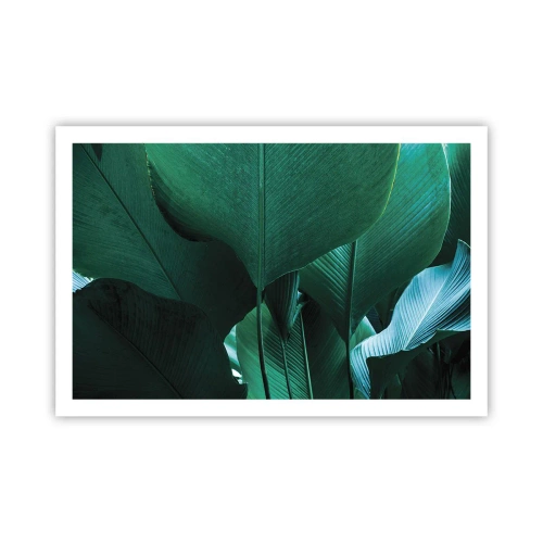 Poster - Naar het licht gekeerd - 91x61 cm