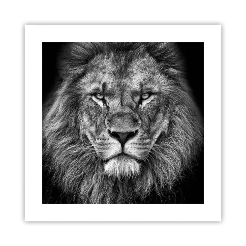 Poster - In een kroningskleed - 40x40 cm