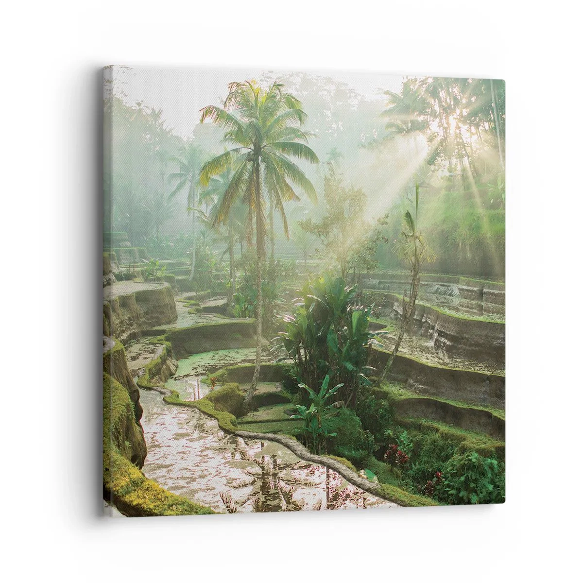 Schilderen op canvas - Opgroeien in de zon - 30x30 cm