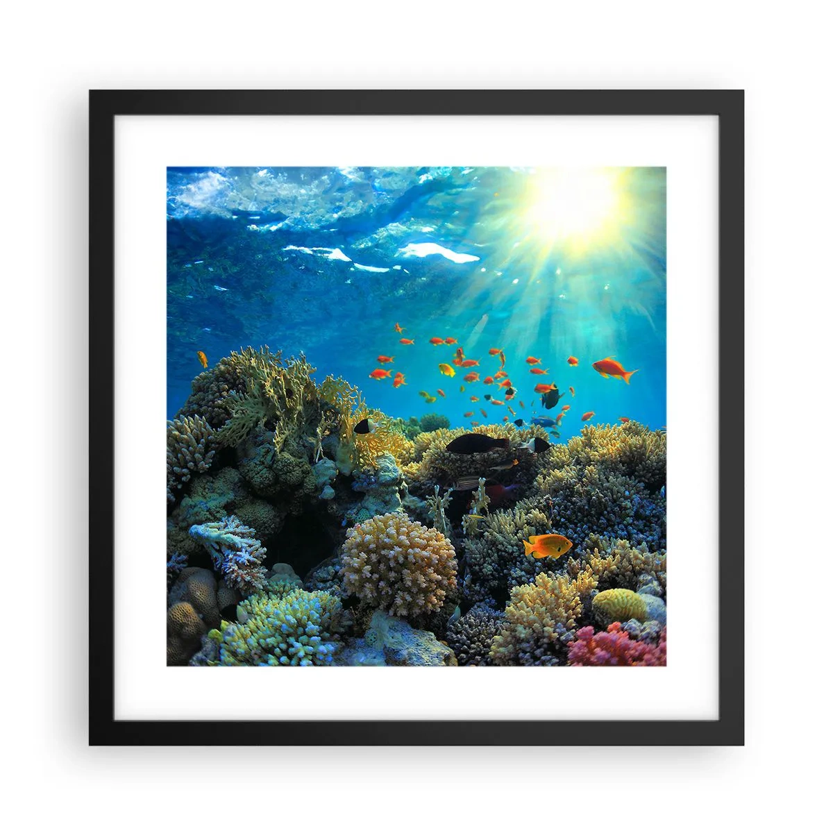 Poster in een zwarte lijst - Onderwater schatten - 40x40 cm
