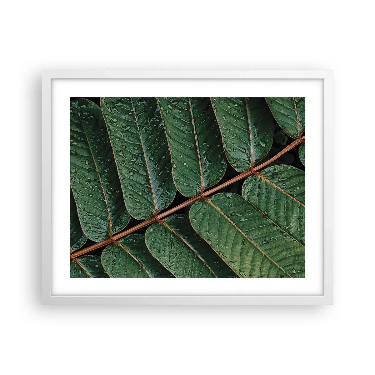 Poster in een witte lijst - In een groen ritme - 50x40 cm