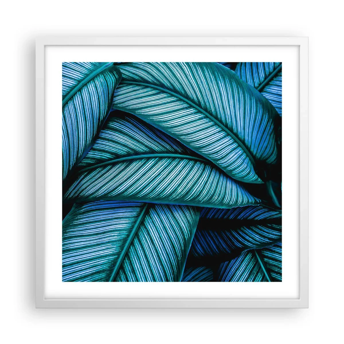 Poster in een witte lijst - Levens lijnen - 50x50 cm