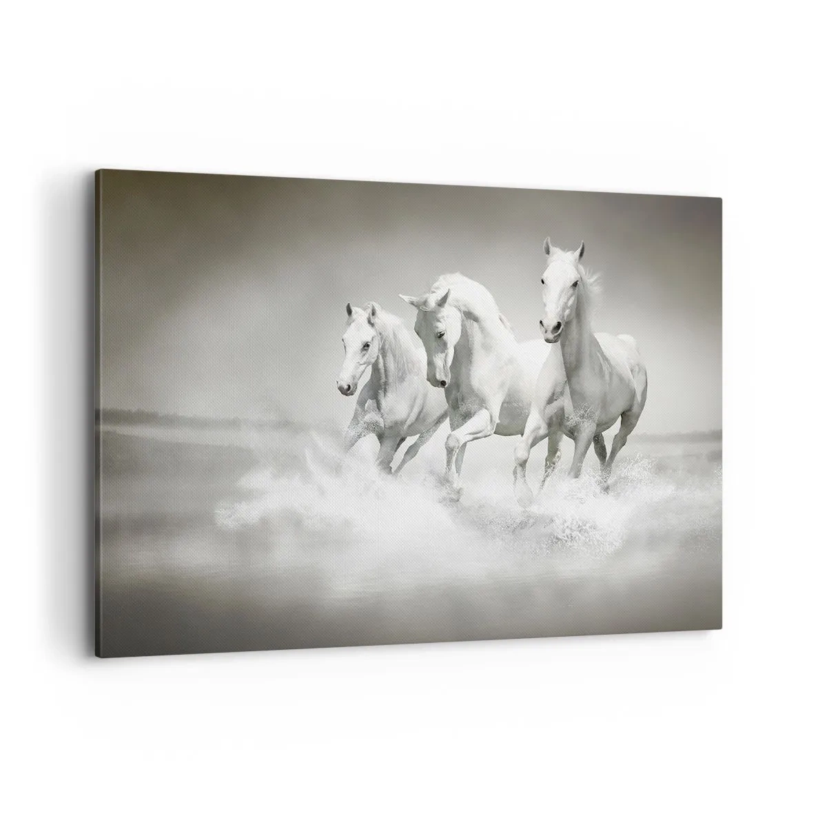 Schilderen op canvas - Witte waanzin - 100x70 cm