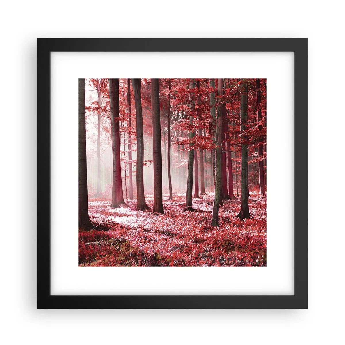 Poster in een zwarte lijst - Rood is net zo mooi - 30x30 cm