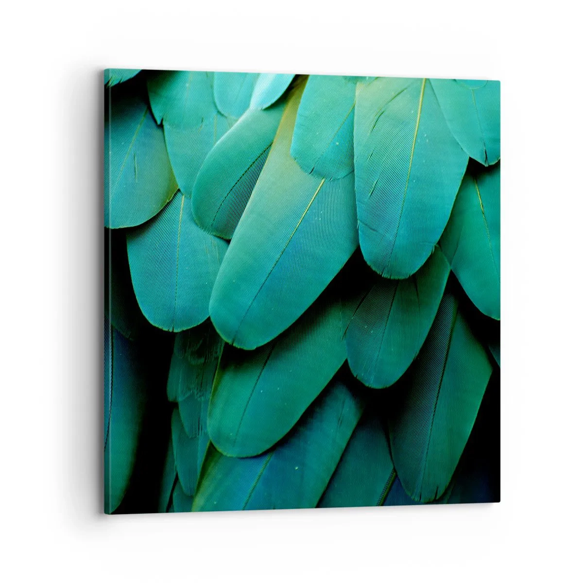 Schilderen op canvas - Papegaaiachtige precisie - 70x70 cm