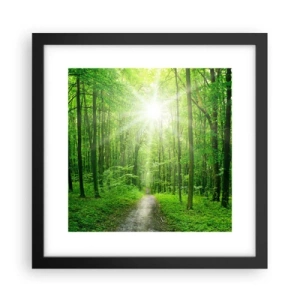 Poster in een zwarte lijst - De groene kathedraal - 30x30 cm