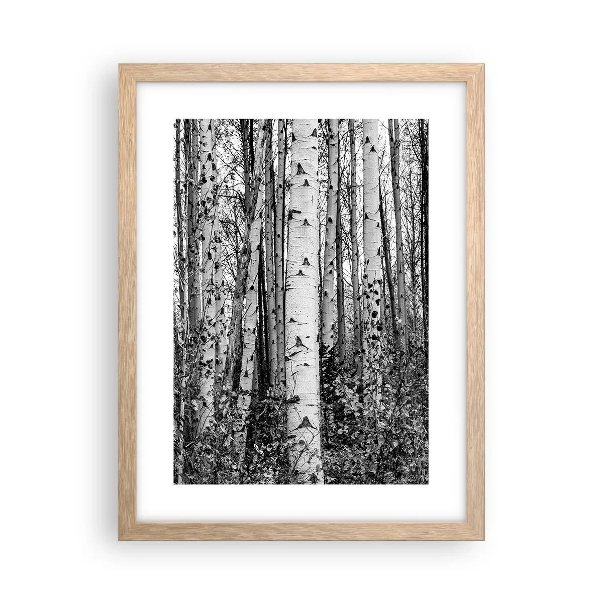 Een poster in een licht eiken lijst - Berken colonnade - 30x40 cm