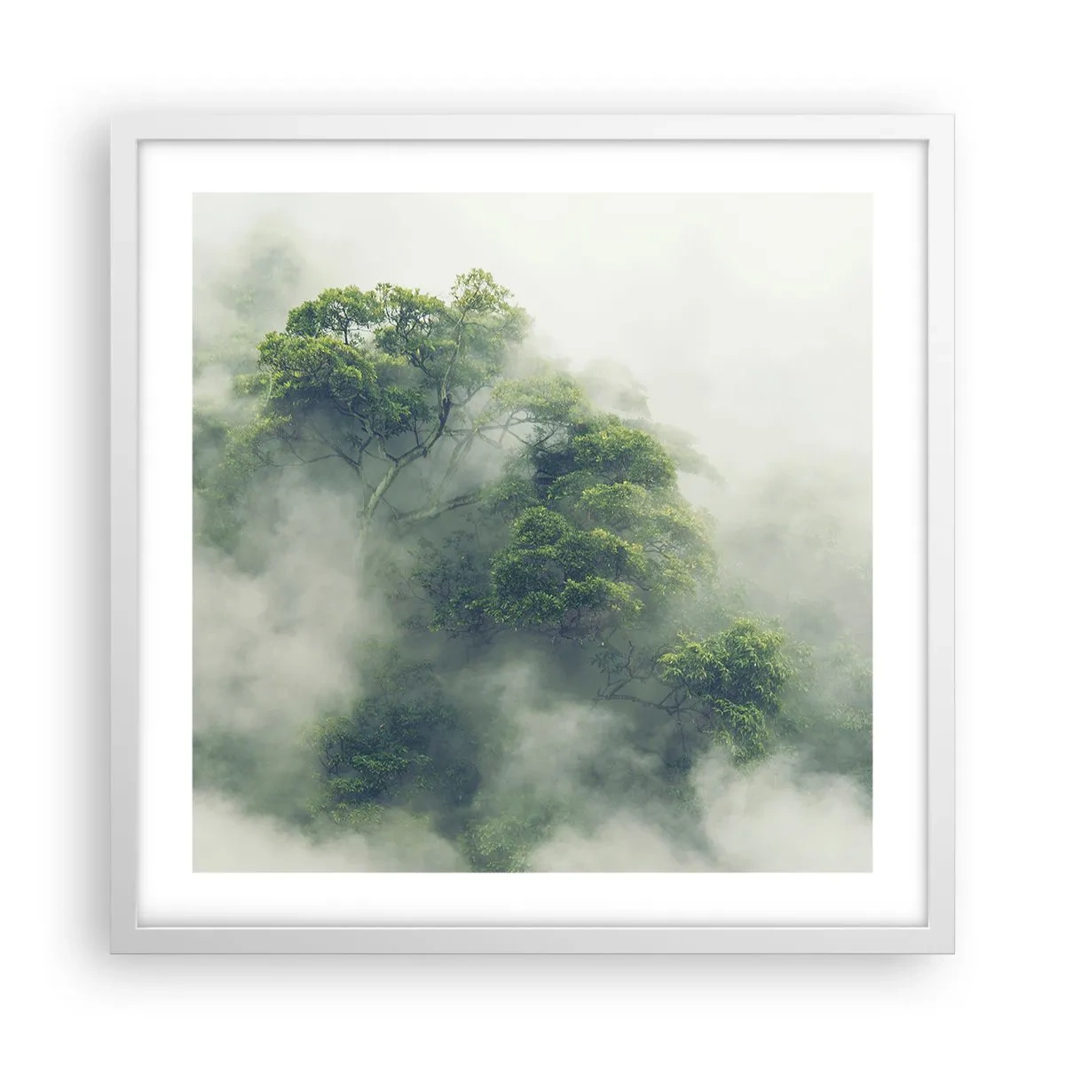 Poster in een witte lijst - In mist gehuld - 50x50 cm