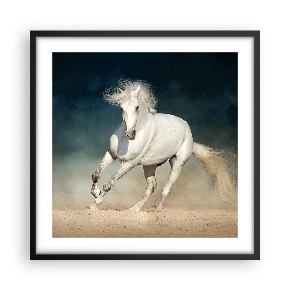 Poster in een zwarte lijst - Vrijheid in zijn pure staat - 50x50 cm