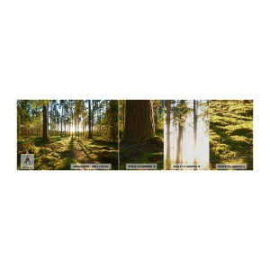 Fotobehang Monster Premium Sand - … Achter de zeven bossen - Landschap, Woud, Natuur - 100x30 cm