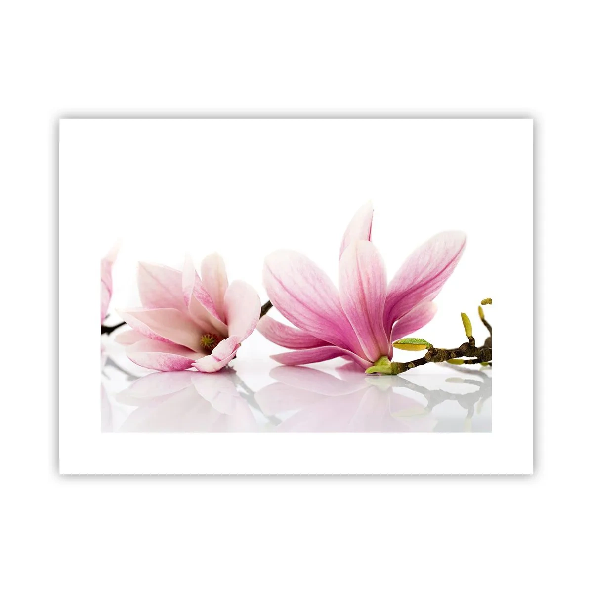 Poster - Delicaat als een lentebriesje - 40x30 cm