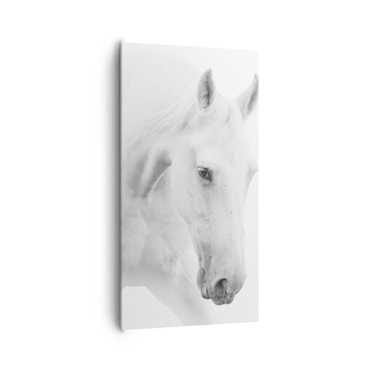 Schilderen op canvas - Is dit vriendschap...? - 65x120 cm